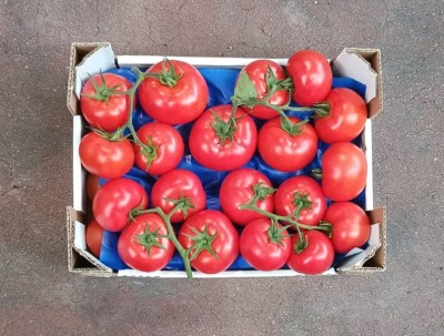 Foto Pomodoro Grappolo Origine Italia Marchio Giugno  3